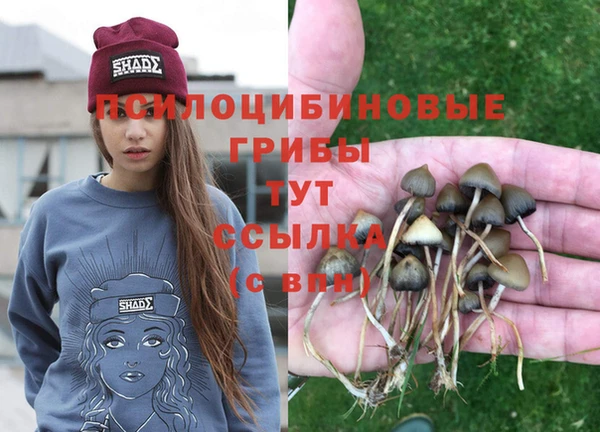 COCAINE Арсеньев