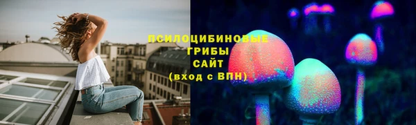 ешки Алексин