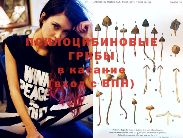 твердый Алексеевка
