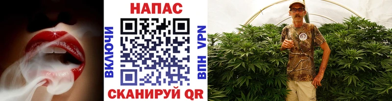 наркотики  Таруса  Марихуана SATIVA & INDICA 